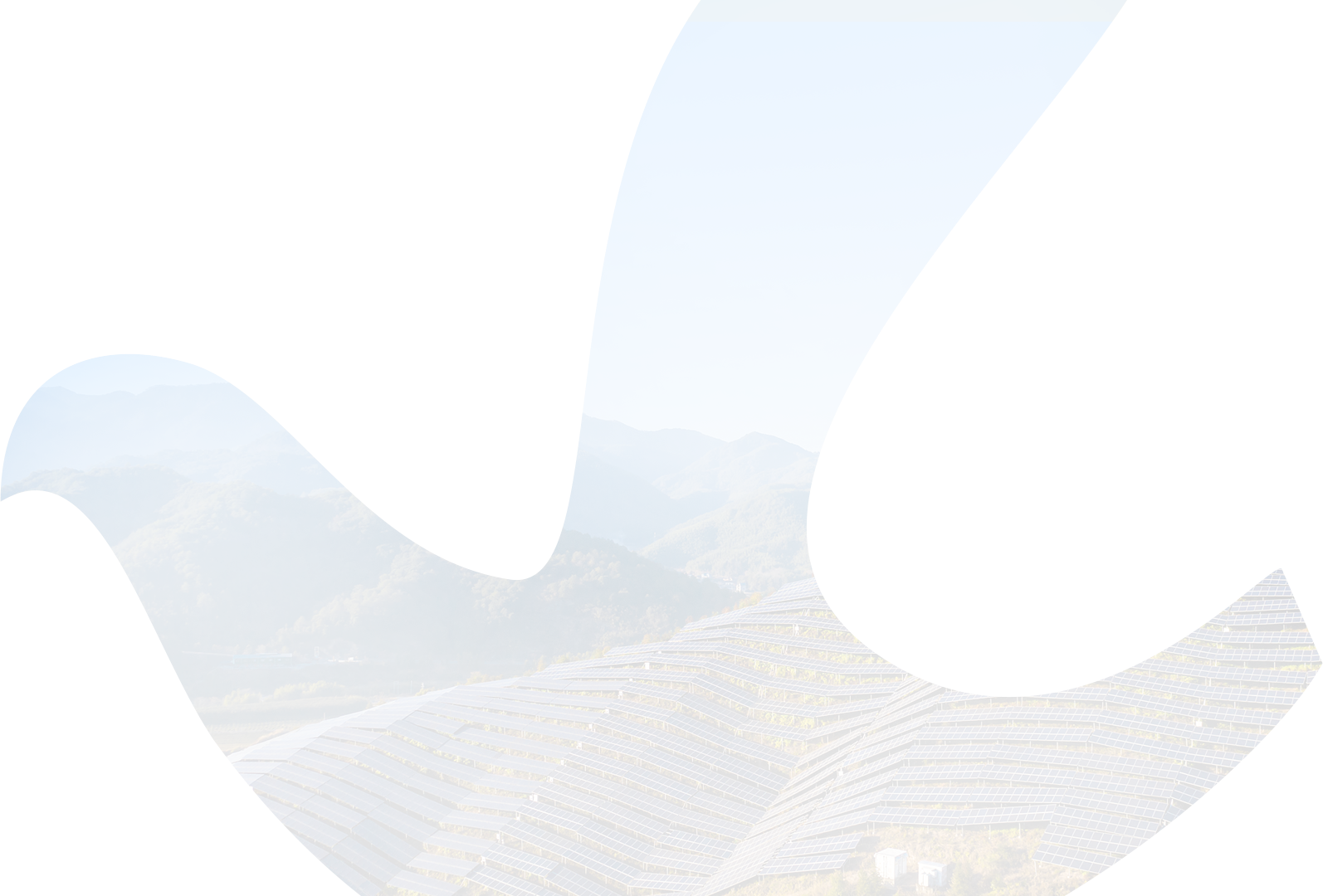 龙8官方网站